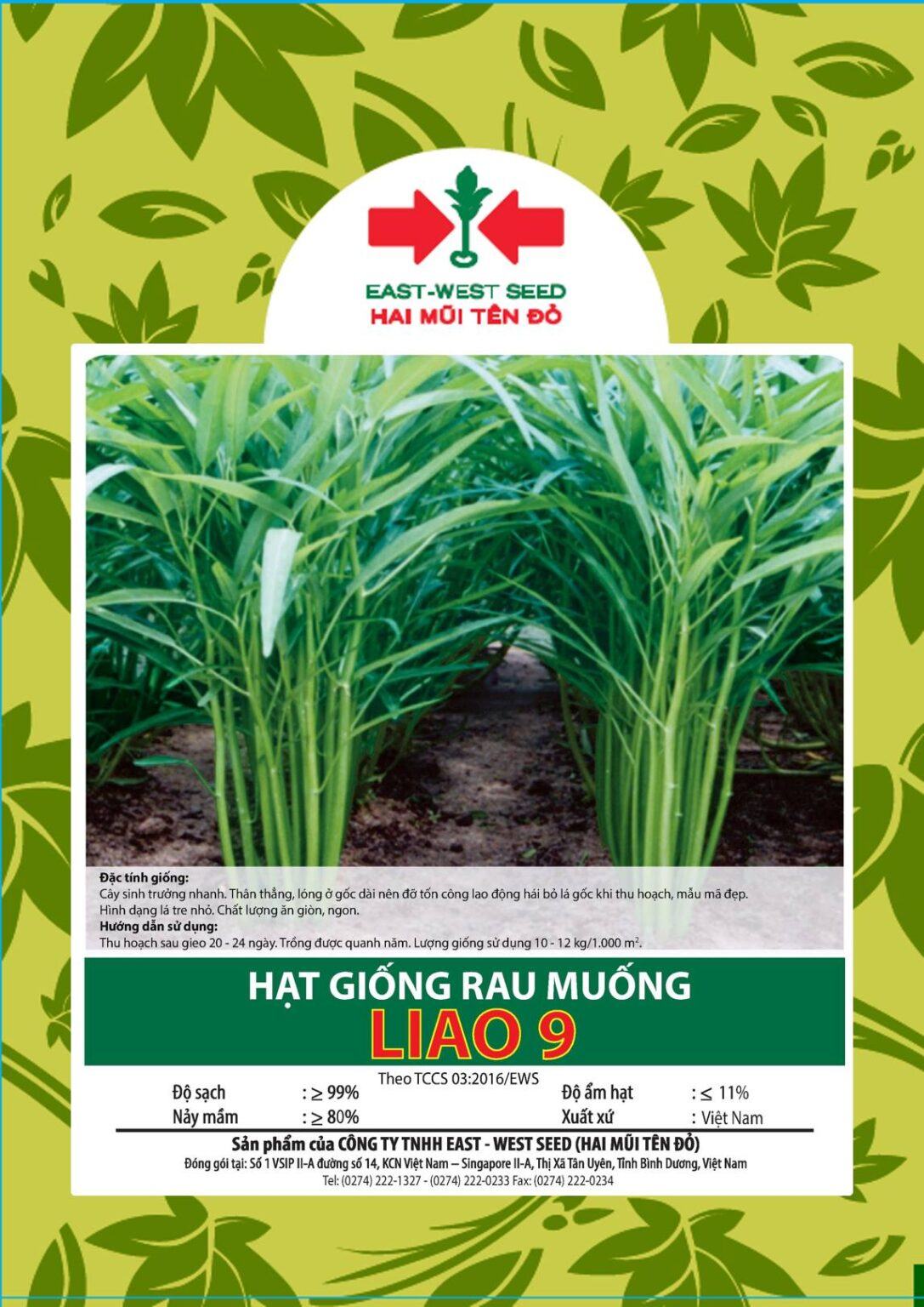 Hạt giống rau muống
