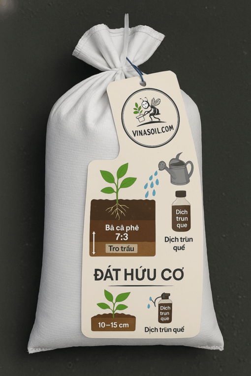 file_000000001a44620ba07ea312290daa0f